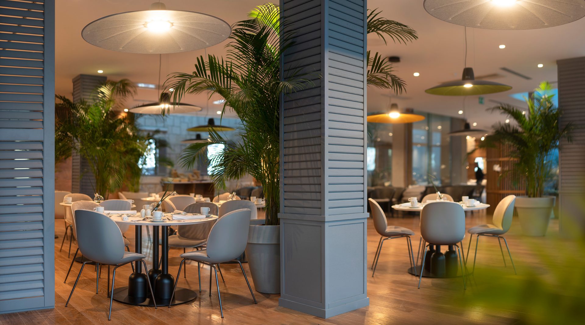 Wings set a fire Relative size Vapor Fine Dining Restaurant Dubrovnik